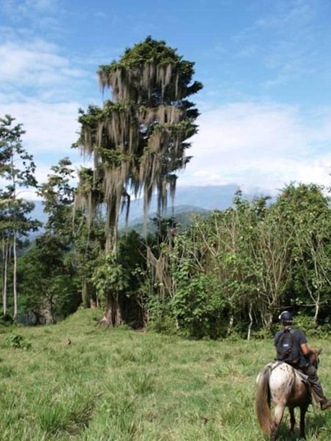 Hacienda Monteclaro Hotel Turrialba Luaran gambar