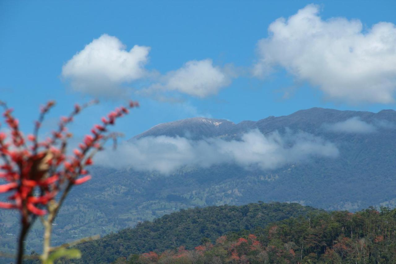 Hacienda Monteclaro Hotel Turrialba Bilik gambar