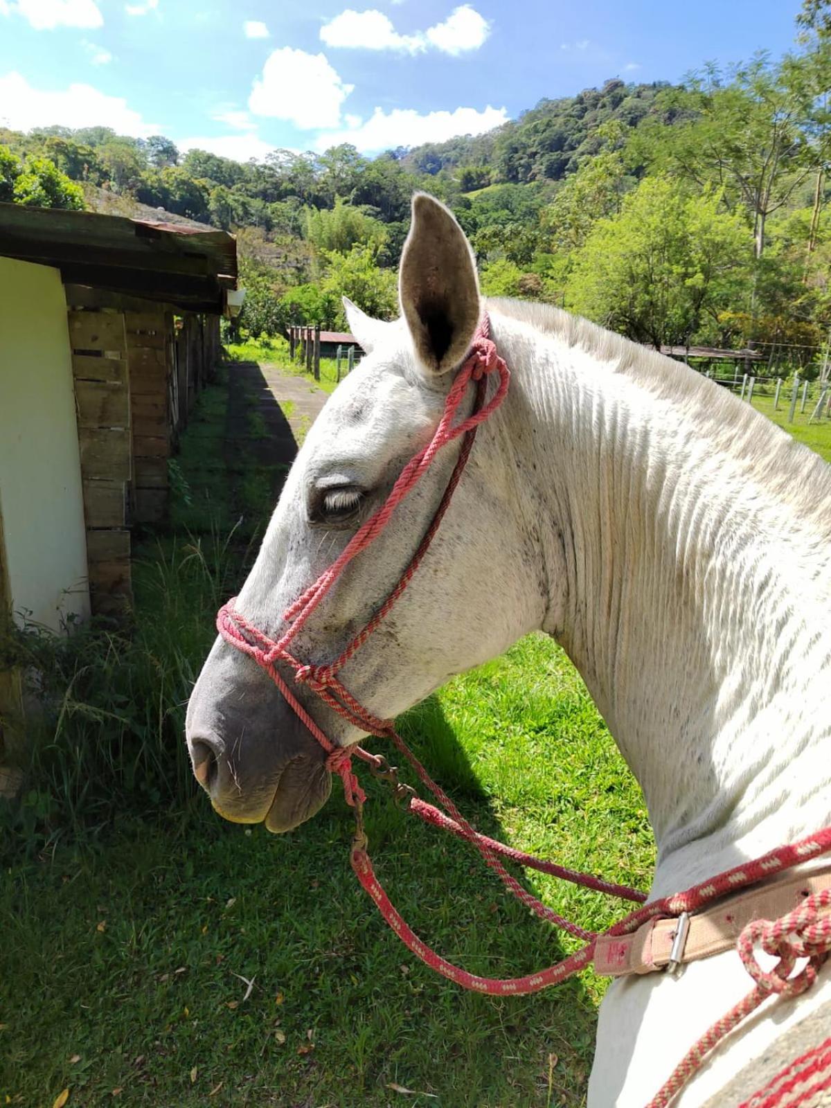 Hacienda Monteclaro Hotel Turrialba Luaran gambar