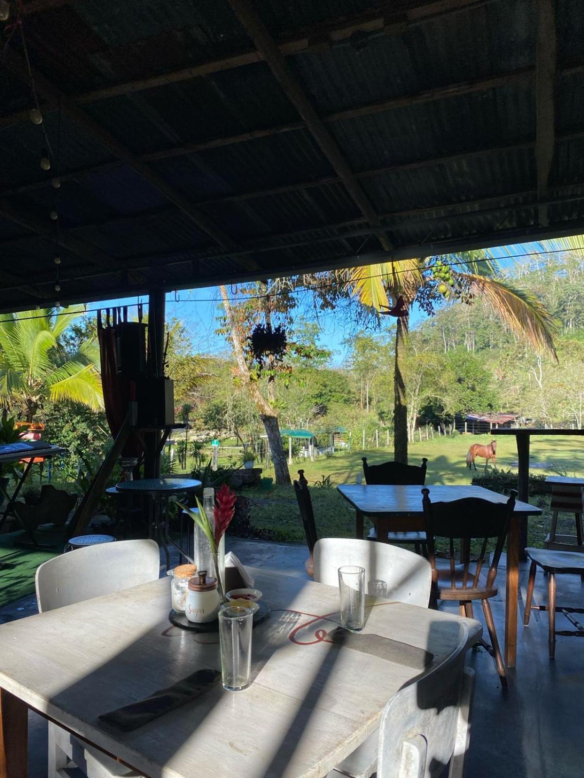 Hacienda Monteclaro Hotel Turrialba Luaran gambar