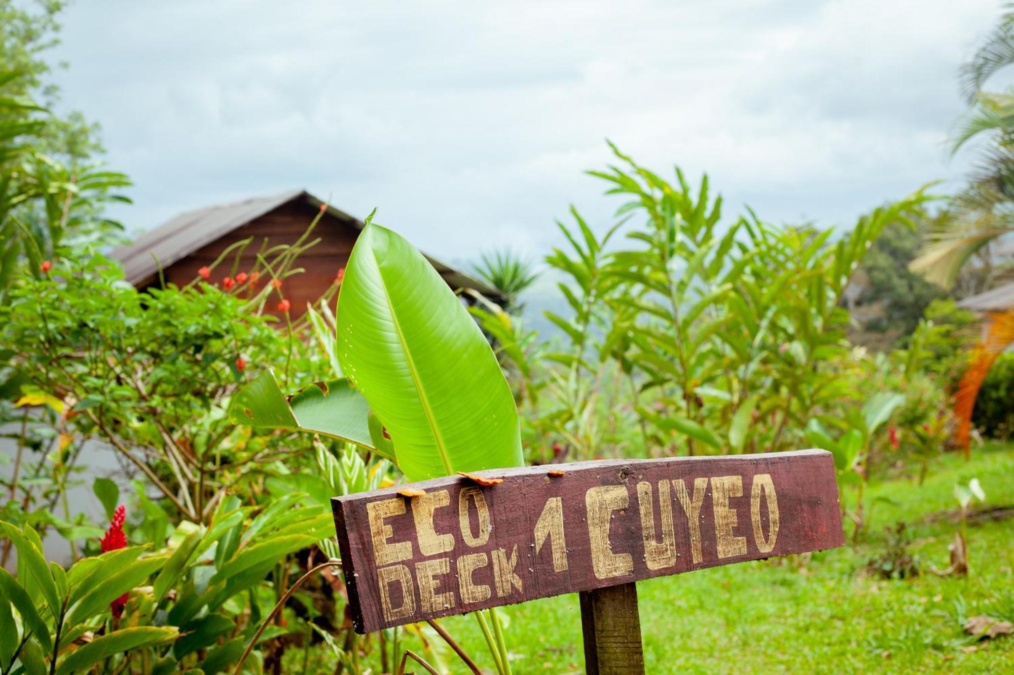Hacienda Monteclaro Hotel Turrialba Luaran gambar